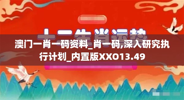 澳门一肖一码资料_肖一码,深入研究执行计划_内置版XXO13.49