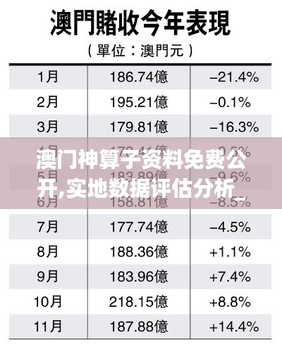 澳门神算子资料免费公开,实地数据评估分析_视频版GGJ13.71