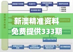 新澳精准资料免费提供333期,设计规划引导方式_套件版TZH11.44