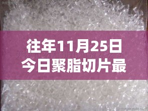 聚脂切片背后的故事，最新行情揭示友情与家的纽带，温暖故事回顾