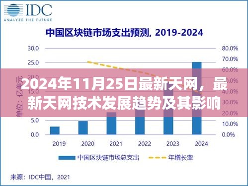 深度探讨，最新天网技术发展趋势及其影响——以某某观点解析