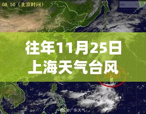 风雨中的上海，台风励志故事与梦想成就之路