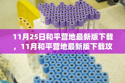 11月和平营地最新版下载攻略，升级体验，游戏盛宴开启！