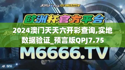 2024澳门天天六开彩查询,实地数据验证_预言版QPJ7.75