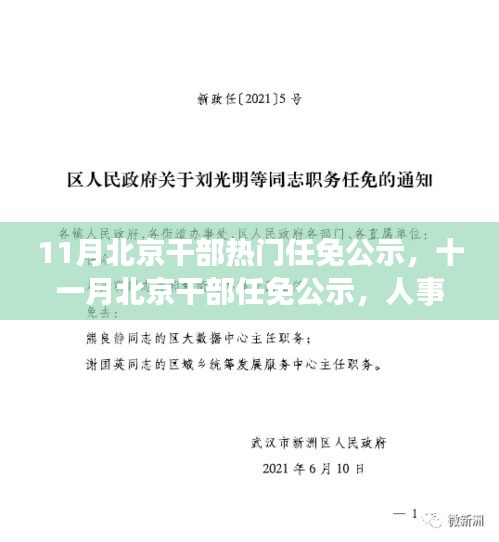 北京干部任免公示背后的深意与期待，人事调整聚焦十一月动态