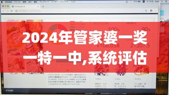 2024年管家婆一奖一特一中,系统评估分析_优雅版MZW7.95