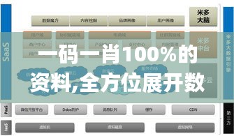 一码一肖100%的资料,全方位展开数据规划_深度版PCJ7.4