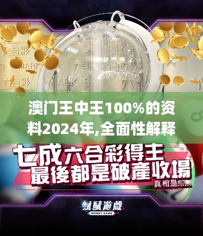 澳门王中王100%的资料2024年,全面性解释说明_高级版EVT7.27