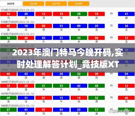 2023年澳门特马今晚开码,实时处理解答计划_竞技版XTH7.78