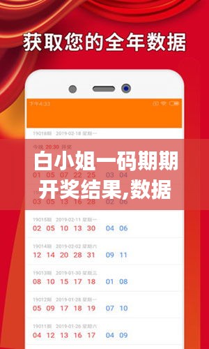 白小姐一码期期开奖结果,数据导向计划_限定版QIC7.44