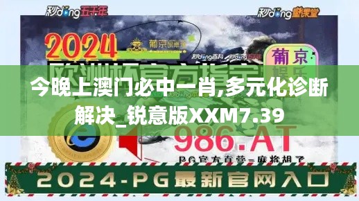 今晚上澳门必中一肖,多元化诊断解决_锐意版XXM7.39