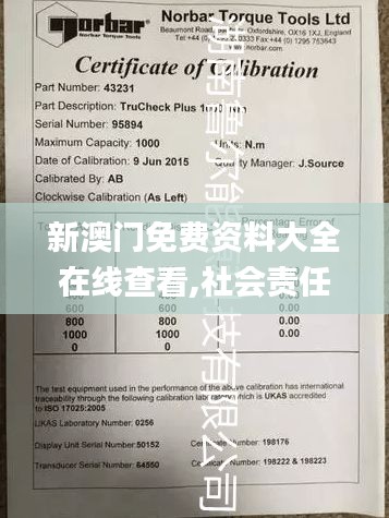 新澳门免费资料大全在线查看,社会责任法案实施_多功能版NOH7.83