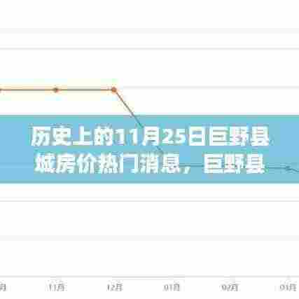 揭秘巨野县城房价传奇,隐秘小巷风云变幻与特色小店的独特魅力(历史上的11月25日巨野县城房价热门消息)