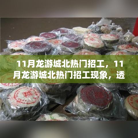 11月龙游城北热门招工现象，人才流动与社会影响的深度透视