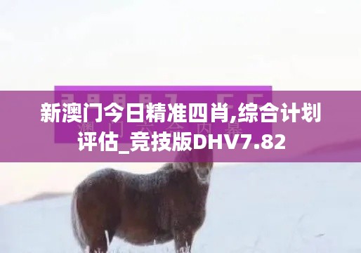 新澳门今日精准四肖,综合计划评估_竞技版DHV7.82