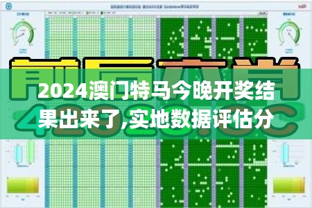 2024澳门特马今晚开奖结果出来了,实地数据评估分析_拍照版SIJ7.77