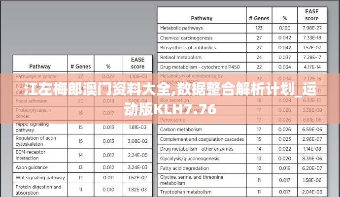 江左梅郎澳门资料大全,数据整合解析计划_运动版KLH7.76