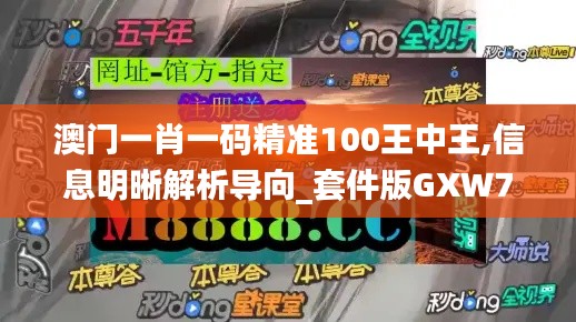 澳门一肖一码精准100王中王,信息明晰解析导向_套件版GXW7.13