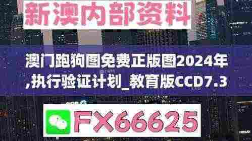 澳门跑狗图免费正版图2024年,执行验证计划_教育版CCD7.3