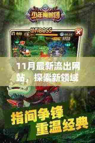 小杰揭秘，探索新领域，揭秘神秘网站之旅（11月版）