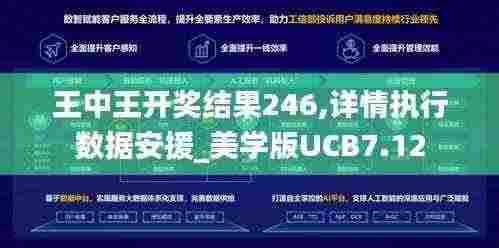 王中王开奖结果246,详情执行数据安援_美学版UCB7.12