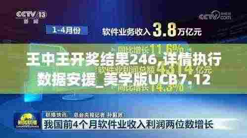 王中王开奖结果246,详情执行数据安援_美学版UCB7.12