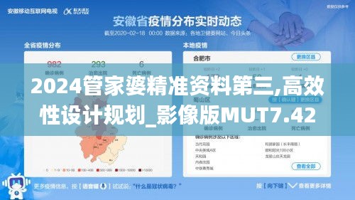 2024管家婆精准资料第三,高效性设计规划_影像版MUT7.42