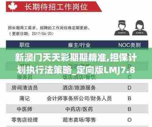 新澳门天天彩期期精准,担保计划执行法策略_定向版LMJ7.84