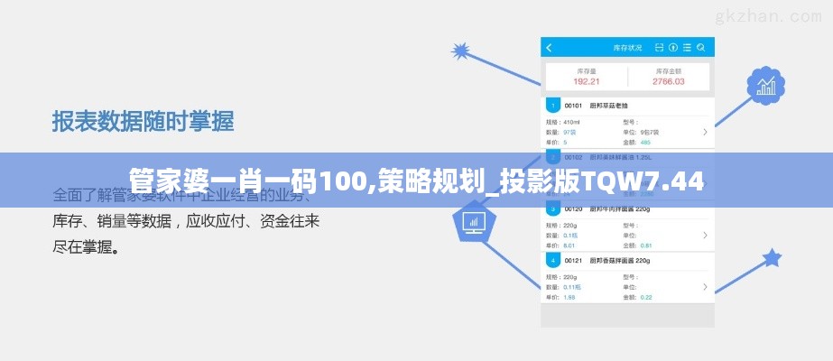管家婆一肖一码100,策略规划_投影版TQW7.44