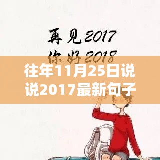 回顾往年11月25日，最新流行句子深度解析与评测