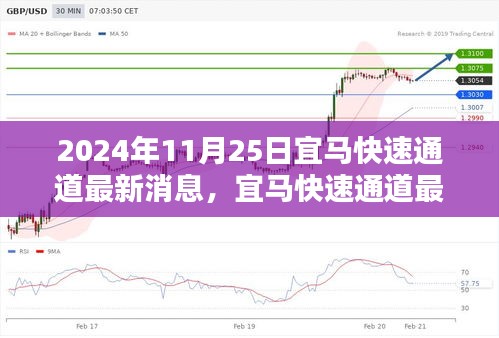 宜马快速通道最新消息及行动指南（全面解读，2024年11月版）