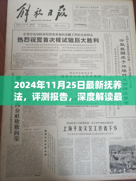 深度解读，最新抚养法及其影响评测报告（2024年11月版）