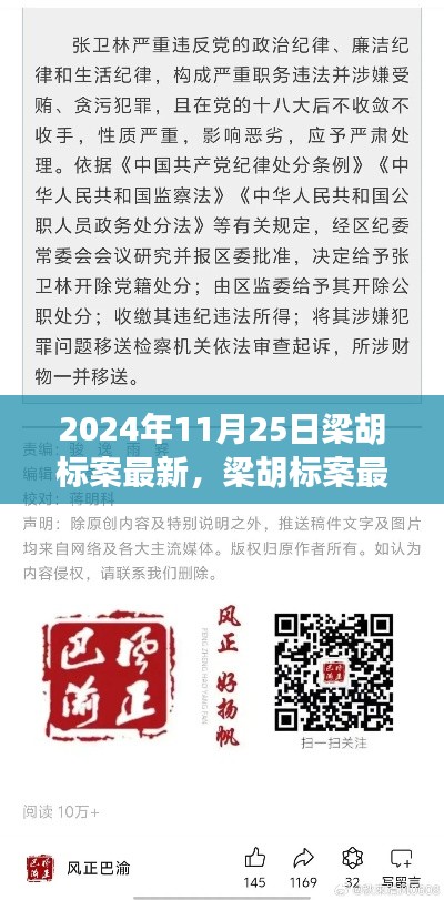 梁胡标案最新进展深度解读，2024年11月25日最新动态揭秘