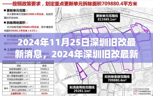 深圳旧改最新动态，聚焦城市更新进展与前景展望（2024年11月）