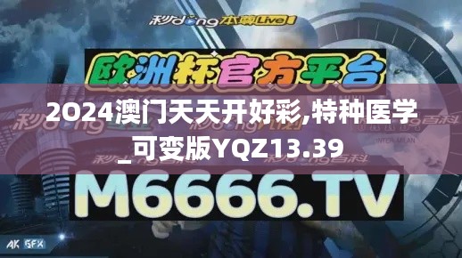 2O24澳门天天开好彩,特种医学_可变版YQZ13.39