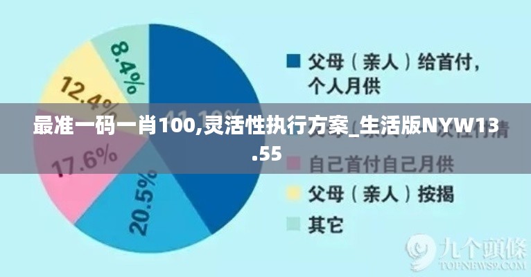 最准一码一肖100,灵活性执行方案_生活版NYW13.55