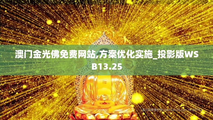 澳门金光佛免费网站,方案优化实施_投影版WSB13.25