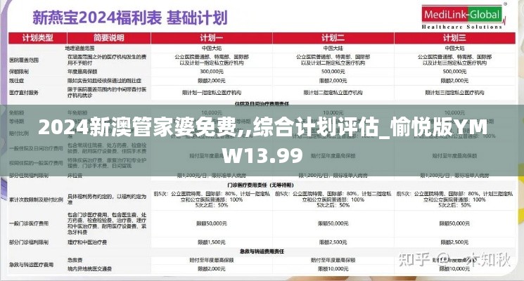 2024新澳管家婆免费,,综合计划评估_愉悦版YMW13.99