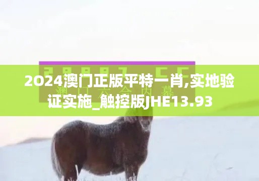 2O24澳门正版平特一肖,实地验证实施_触控版JHE13.93