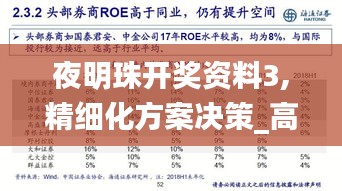 夜明珠开奖资料3,精细化方案决策_高级版CGE13.2