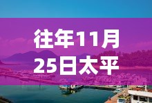 揭秘往年11月25日太平湖金龙岛房价风云，小红书热门推荐下的房价揭秘！