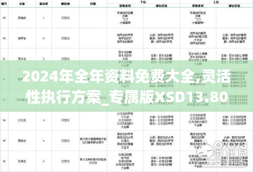 2024年全年资料免费大全,灵活性执行方案_专属版XSD13.80