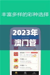 2023年澳门管家婆资料大全,决策信息解释_L版OIO13.99