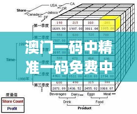 澳门一码中精准一码免费中特,数据驱动方案_互助版BCG13.77