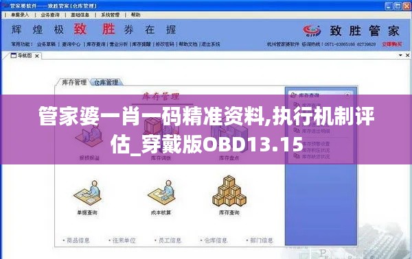 管家婆一肖一码精准资料,执行机制评估_穿戴版OBD13.15