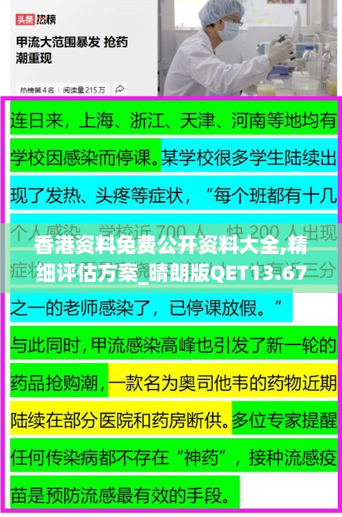 香港资料免费公开资料大全,精细评估方案_晴朗版QET13.67