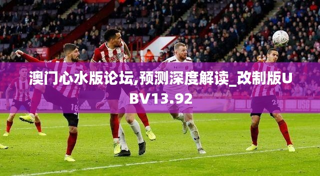 澳门心水版论坛,预测深度解读_改制版UBV13.92