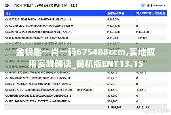 金钥匙一肖一码675488ccm,实地应用实践解读_随机版ENT13.15