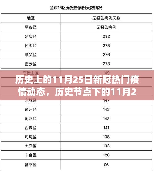 新冠疫情全球动态深度剖析，历史节点下的11月25日回顾与剖析