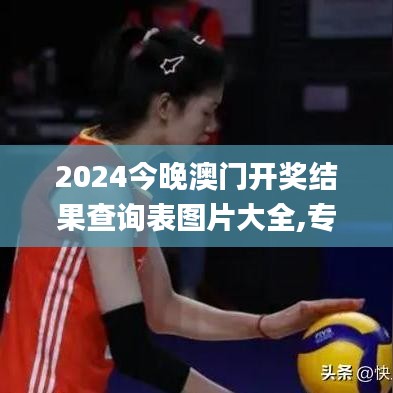 2024今晚澳门开奖结果查询表图片大全,专业调查具体解析_贴心版LEZ13.95